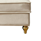 Sillón Chaiselongue de Almacenamiento Tapizado en Terciopelo Francés Elegante con una Almohada