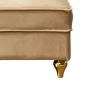 Sillón Chaiselongue de Almacenamiento Tapizado en Terciopelo Francés Elegante con una Almohada